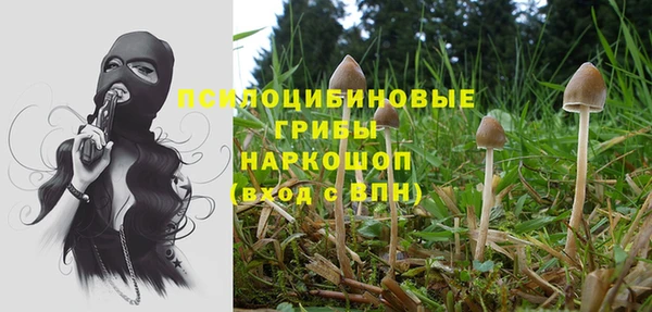 a pvp Иннополис