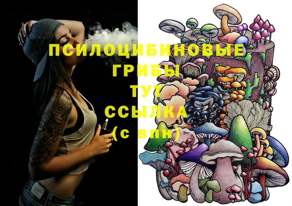 a pvp Иннополис