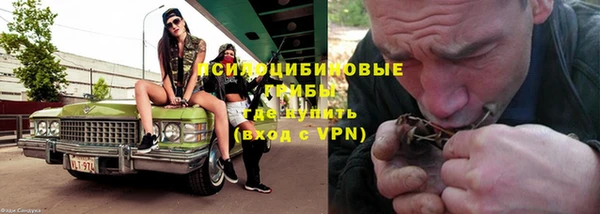 не бодяженный Каменка
