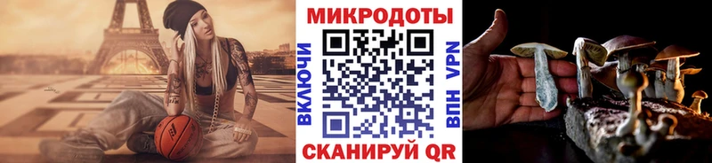 Купить  Дальнереченск  Псилоцибиновые грибы Psilocybe 